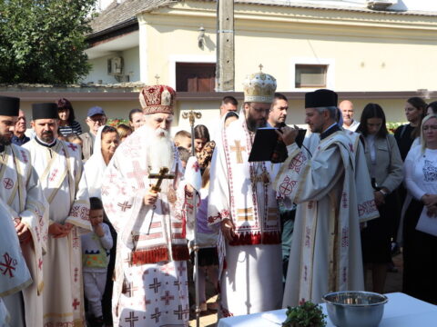 IMG_0733_resize