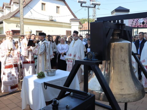 IMG_0739_resize