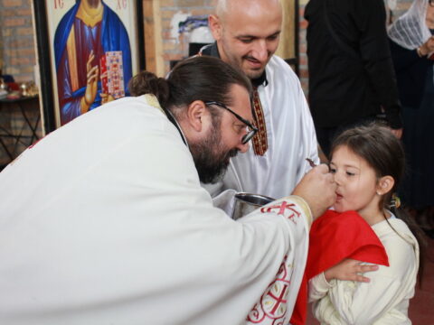IMG_4331_resize