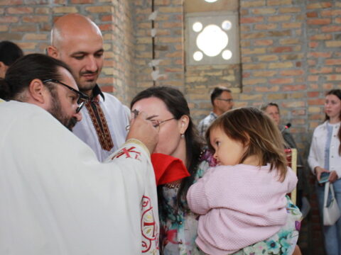 IMG_4337_resize