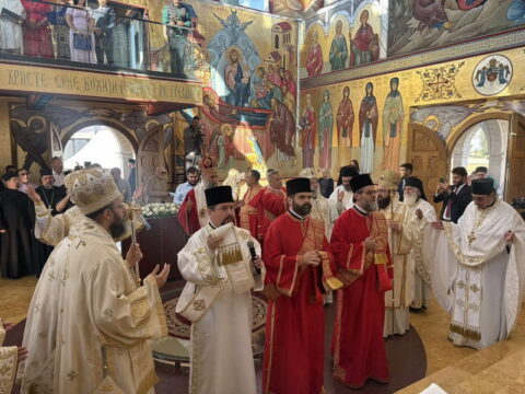 img-3539359_resize