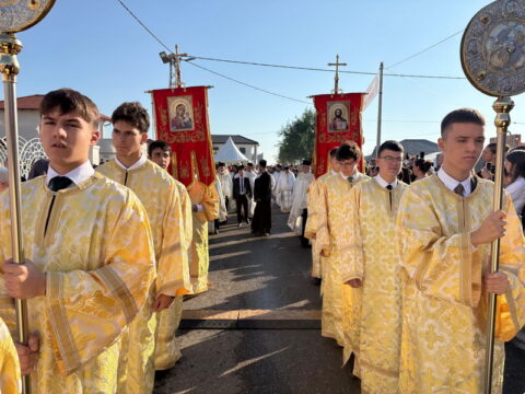 img-4134664_resize