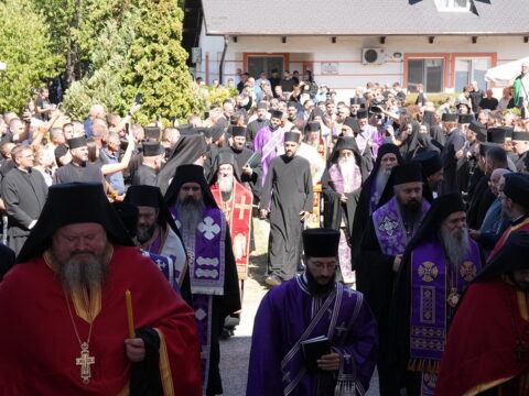 img-4636743_resize