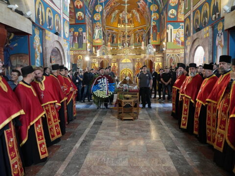 img-7161257_resize