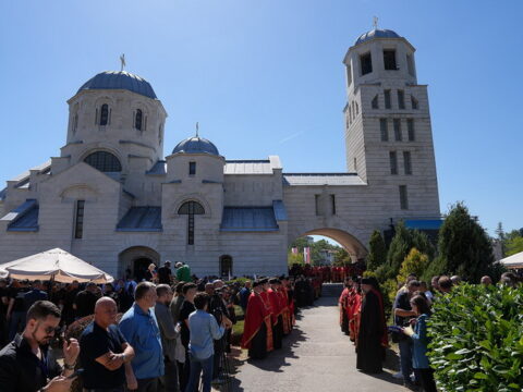 img-7428088_resize