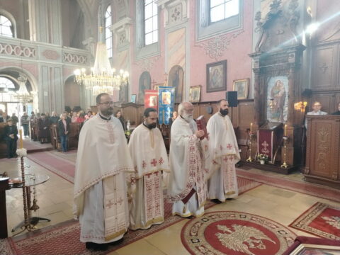 1000005334_resize
