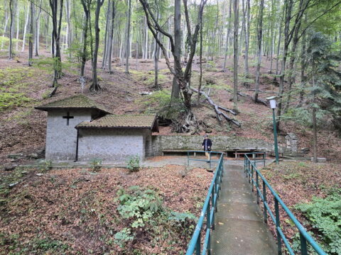 1000008605_resize_resize