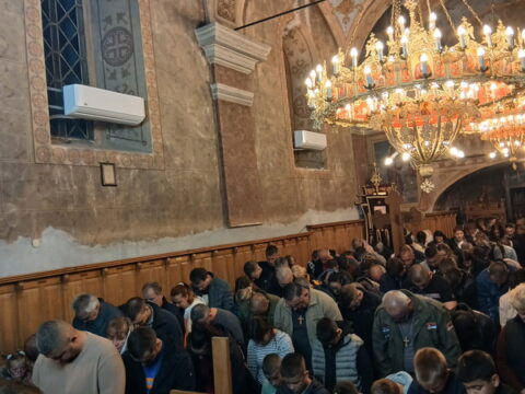 1000013050_resize