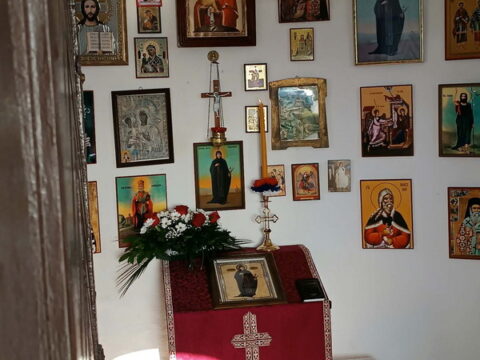 1000025444_resize