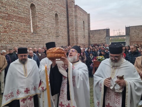1000078600_resize