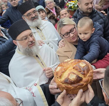 1000078636_resize