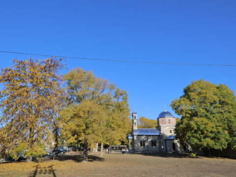 1793120992363_resize