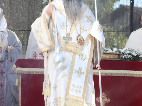 IMG_0954_resize