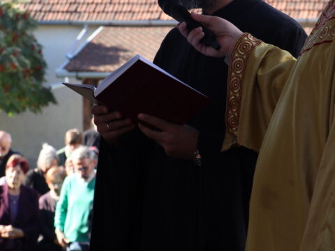 IMG_1020_resize