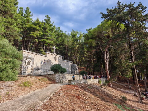 IMG_20261010_103156_resize